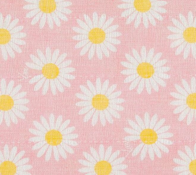 Daisy/Pink